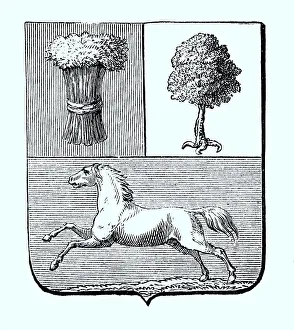 National coat of arms, coat of arms from 1890