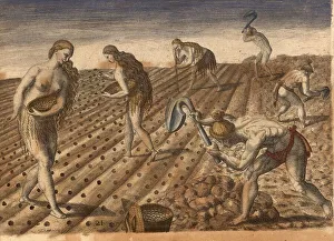 Native American men till the soil and woman plant seeds
