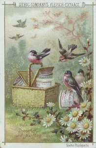 Native Birds Series, Bullfinch and Linnet