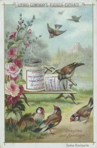 Native Birds Series, Goldfinch and Sparrow