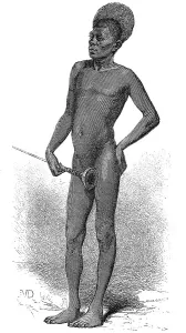 Native of the Chillouk tribe, Shilluk