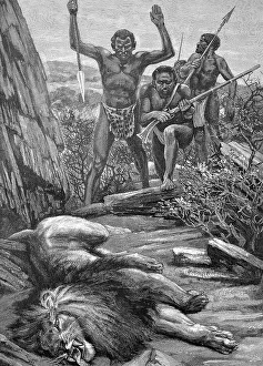 Natives hunting lions in Africa