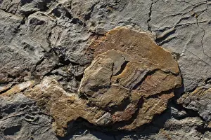 Natural rock or Stone surface as background texture