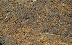 Natural rock or Stone surface as background texture