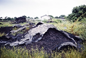 Naturally occurring mounds of pitch tar asphalt La Brea Pitch Lake, Trinidad early 1960s