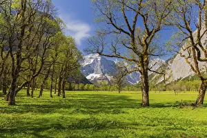 Nature conservancy area Grosser Ahornboden