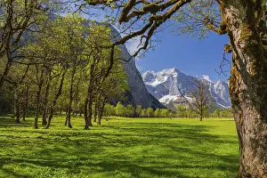 Nature conservancy area Grosser Ahornboden