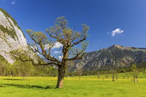 Nature conservancy area Grosser Ahornboden