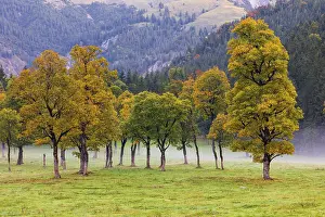 Nature conservancy area Grosser Ahornboden