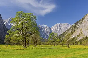 Nature conservancy area Grosser Ahornboden