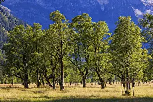 Nature conservancy area Grosser Ahornboden