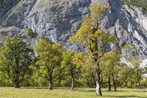 Nature conservancy area Grosser Ahornboden