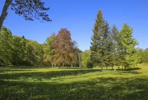 Nature park park near Lichtenstein Castle