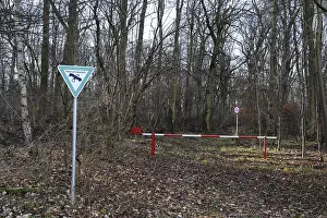 Nature reserve in a flooding area at the Main River near Schweinfurt