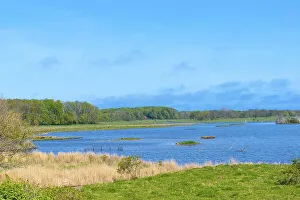 Nature reserve, NSG Geltinger Birk