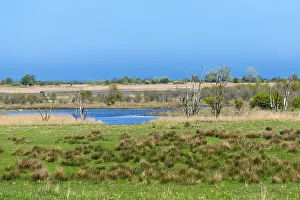 Nature reserve, NSG Geltinger Birk