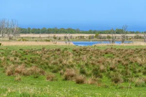 Nature reserve, NSG Geltinger Birk