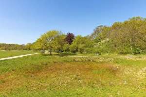 Nature reserve, NSG Geltinger Birk