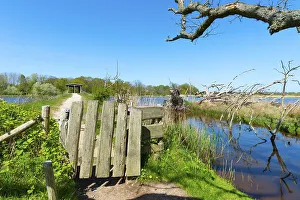 Nature reserve, NSG Geltinger Birk