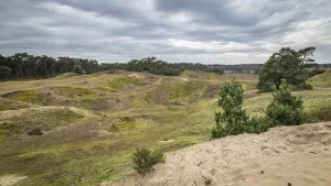 Nature reserve Wekeromse zand, Veluwe region