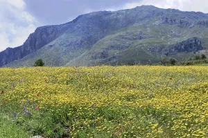Near Rethymno, Crete, Greece, Crete