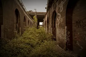 Neglected, overgrown area with graffiti on concrete arches
