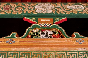 Nemuri-neko, sleeping cat, slumber cat