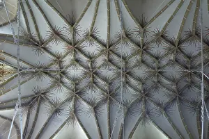 Net vault of the late Gothic three-nave hall church