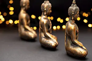 Netherlands. October 2022.buddha statue in calm rest pose