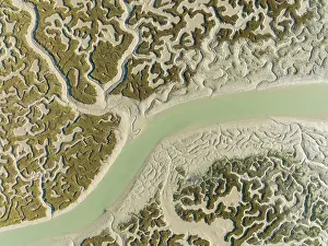 October 2022 Prints: Network of channels and streams at low tide