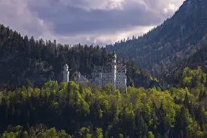 Neuschwanstein Castle against a backdrop of forest and mountains