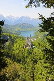 Neuschwanstein Castle, near Fuessen