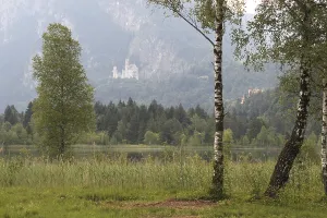 Neuschwanstein Castle near Fussen in summer
