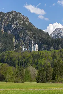 Neuschwanstein Castle towers over a green meadow with a dramatic mountain backdrop under a blue sky