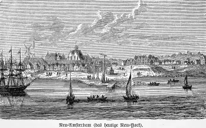 New Amsterdam, Dutch foundation