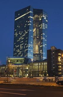 The new European Central Bank, ECB