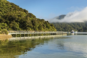Ngakuta Bay, Marlborough Sounds
