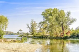 Nice end of summer day close to the river with plants and trees around