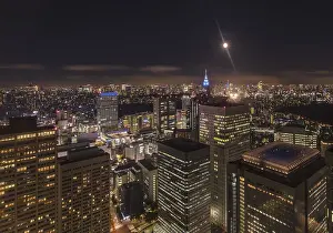 Night-time panoramic view from the Tokyo Metropolitan Government Building on a full moon night