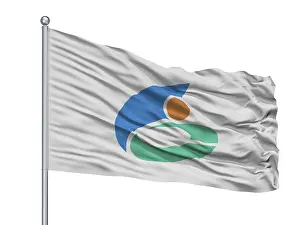 Nikaho City Flag On Flagpole, Country Japan