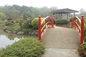 Nikki bridges in Japanese Garden