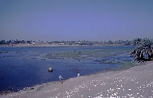 Nile with island, on it Nile hyacinths