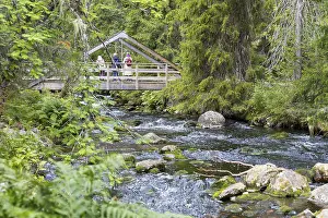Njupan wild stream in Fulufjallet National Park