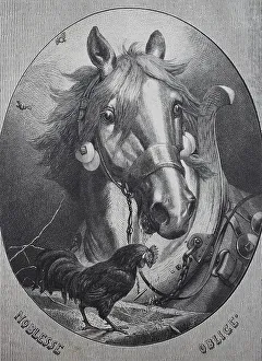 Noblesse Oblige, a horse and a cock together