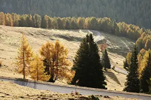 Nockalm road, Nockberge Biosphere Reserve