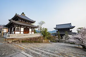 Nokotsudo and Sanmon Gate in the evening light with blooming cherry trees
