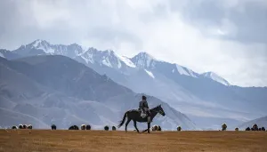 Nomadic life on a plateau, shepherd on horse