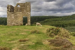 North York Moors landscape, looking at Skelton Tower