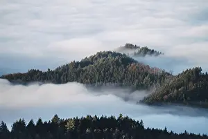 Northern Black Forest, Baden-Wuerttemberg