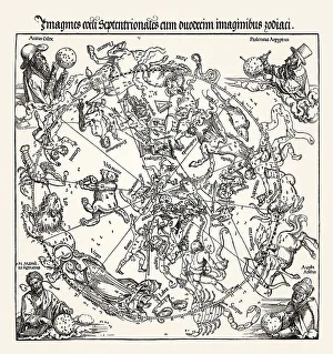 Northern Celestial Hemisphere by Albrecht Durer